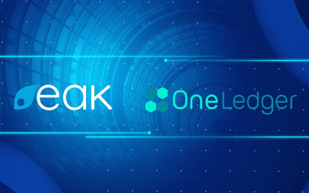 EAK Digital Signs Business Solutions Blockchain Protocol, OneLedger